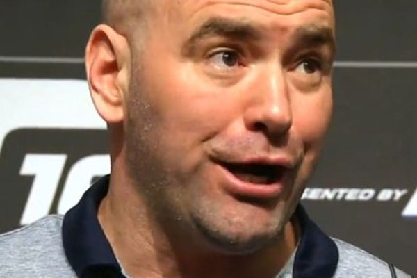 dana white 