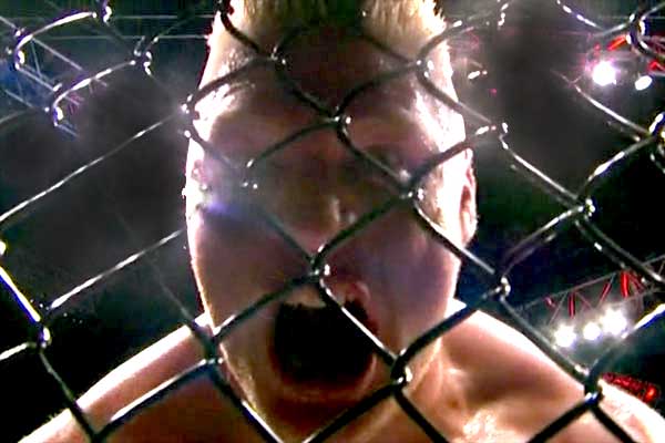 lesnar