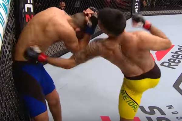 almeida morales ufn fig