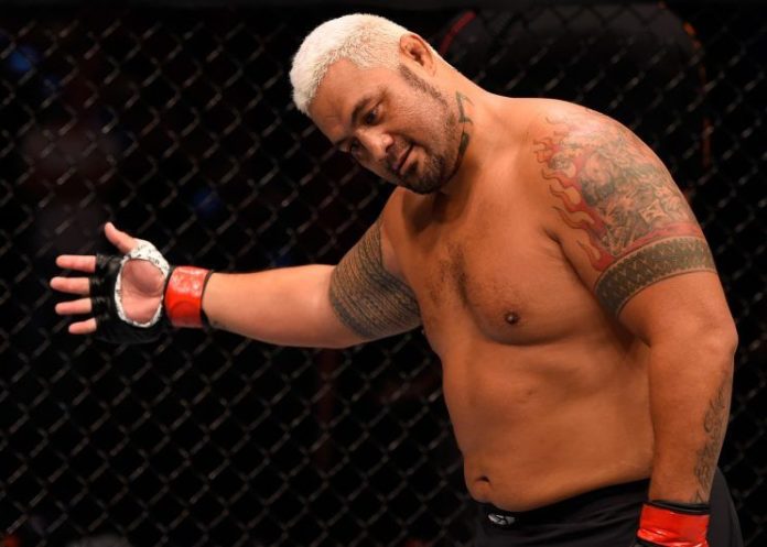 Mark Hunt