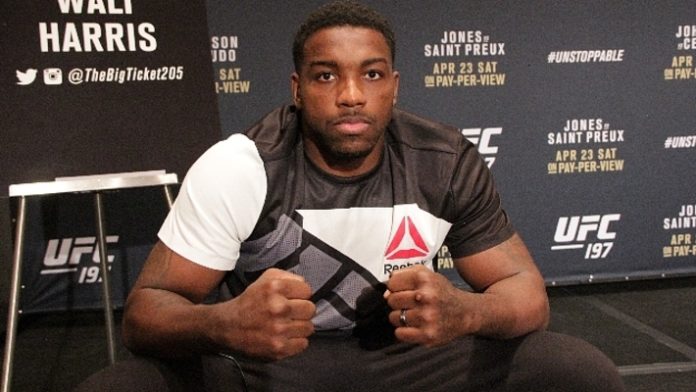 Walt Harris