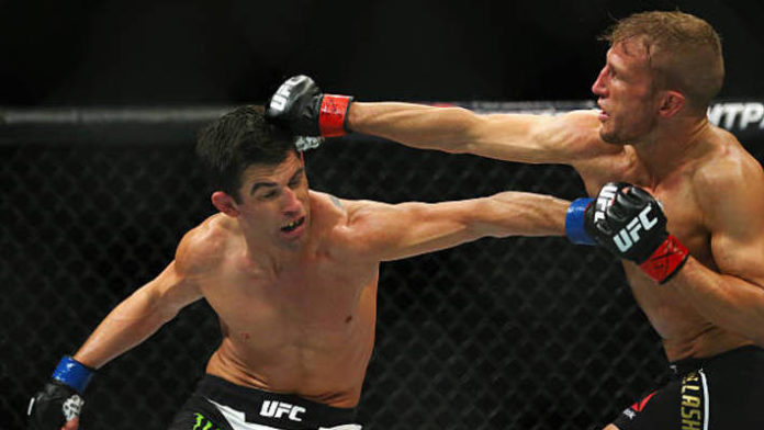 T J Dillashaw Dominick Cruz