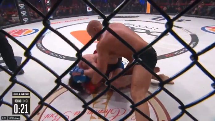 Fedor Sonnen