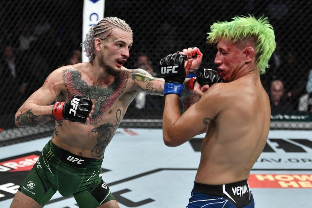 Kris Moutinho O'Malley