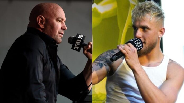 Jake Paul Dana White