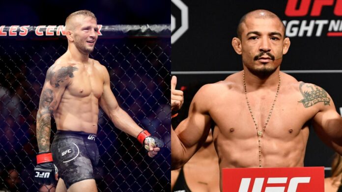 TJ Dillashaw Jose Aldo