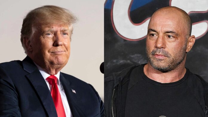 Donald Trump Joe Rogan February 