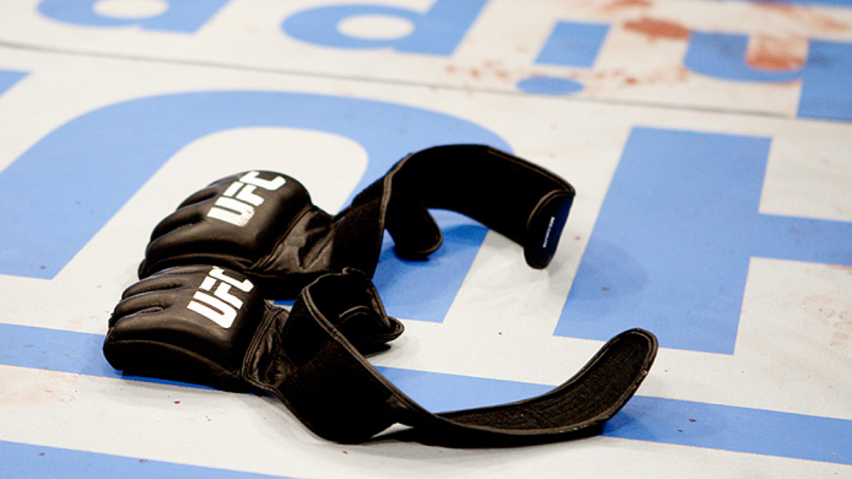 UFC gloves