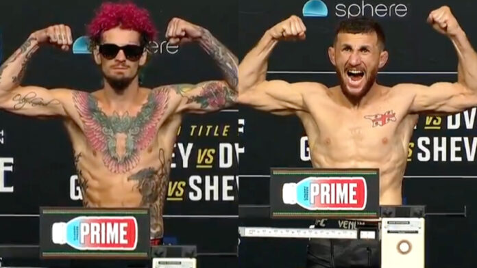 Sean O'Malley, Merab Dvalishvili