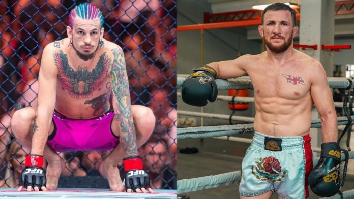 Sean O'Malley and Merab Dvalishvili