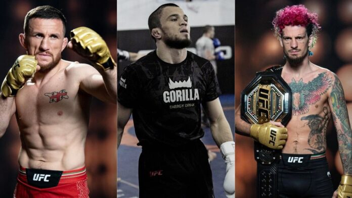 Merab Dvalishvili, Umar Nurmagomedov, and Sean O'Malley