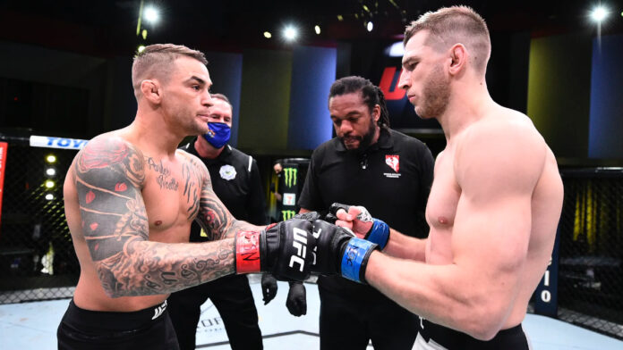 Dustin Poirier & Dan Hooker