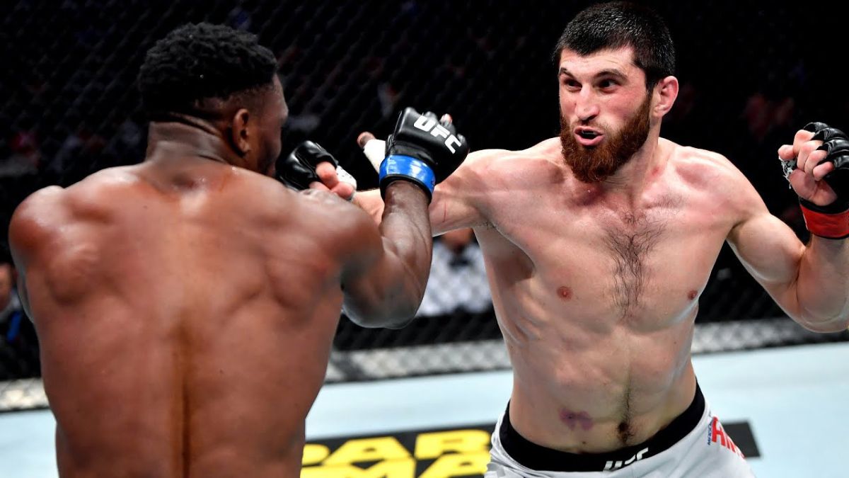 ‘They Don’t Want One More Belt To Go To Dagestan’ – Fans React After Highlight Reel Disproves “Poatan” Calling Ankalaev ‘Boring’