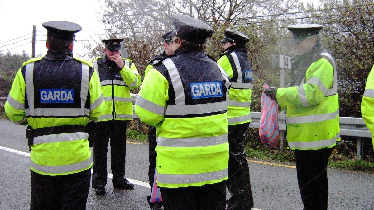 Former MMA Fighter Accused Of ‘Brutally’ Assaulting & Attempting To Bite Irish Police Officers