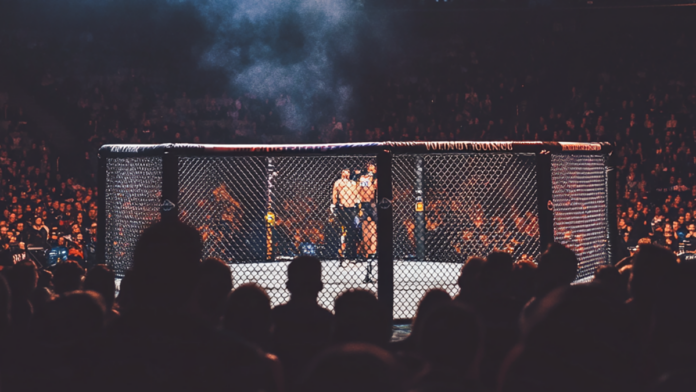 MMA Fight