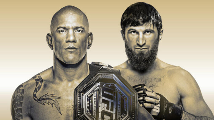 UFC 313 - Alex Pereira & Magomed Ankalaev