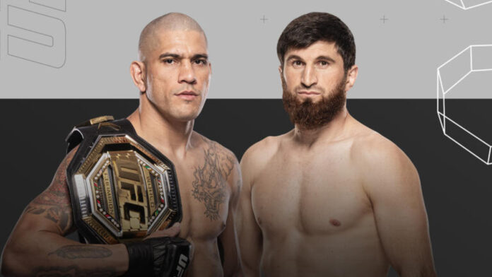 UFC 313 - Pereira vs. Ankalaev