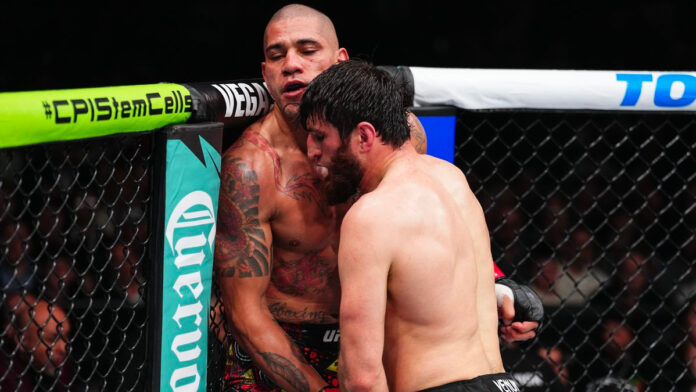 Alex Pereira, Magomed Ankalaev