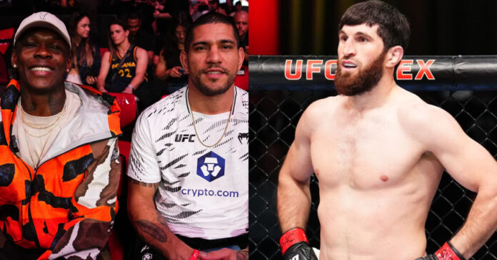 Israel Adesanya & Alex Pereira, Magomed Ankalaev