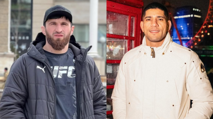 Magomed Ankalaev Criticizes Alex Pereira's Charity Bet Proposal for UFC 313b