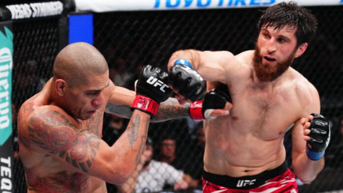 Magomed Ankalaev punches Alex Pereira