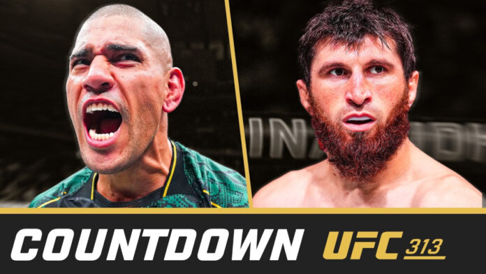 UFC 313 Countdown