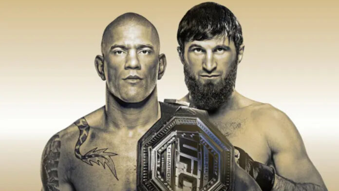 UFC 313 - Pereira vs. Ankalaev