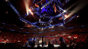 UFC Octagon