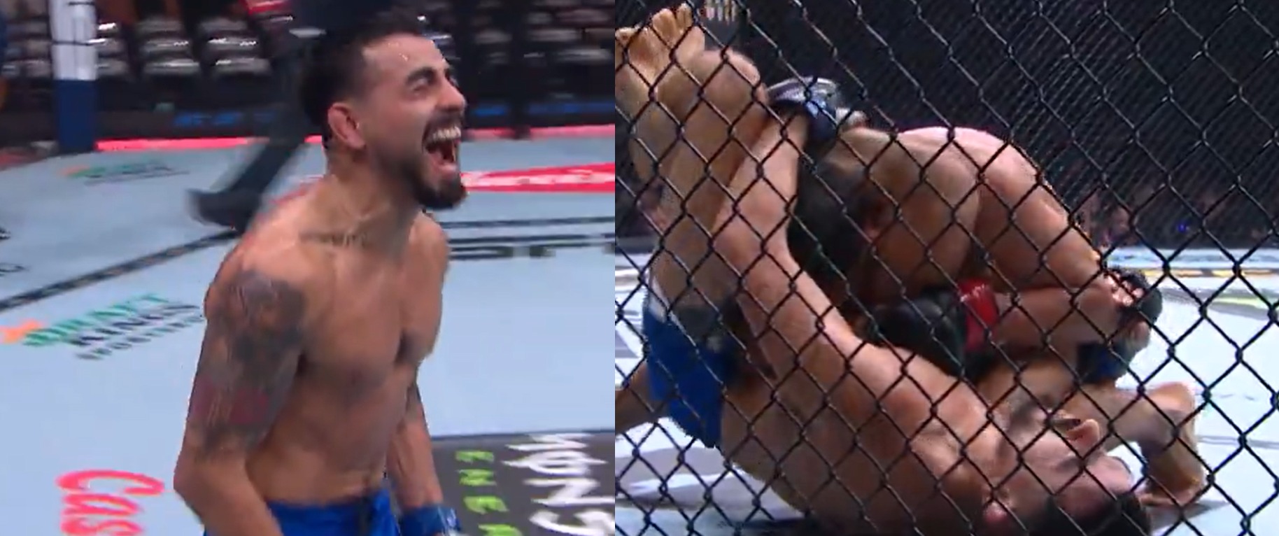 “Proved Me Wrong Time And Time Again Throughout The Season” – Fans & Fighters React To Joseph Morales Winning Flyweight TUF Title With Triangle Choke Of Alibi Idiris At UFC 319