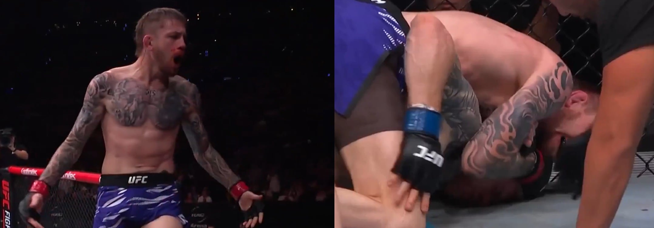 “Chaotic” – Fans React As Tom Nolan Goes From Knocked Down To Submitting Charlie Campbell At UFC Perth