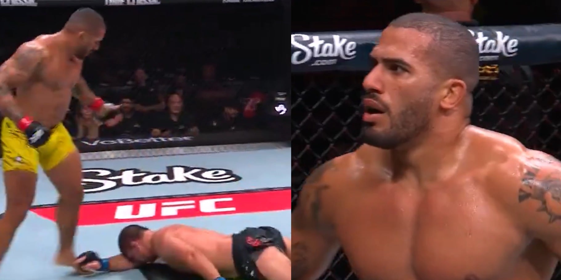 VIDEO: Vitor Petrino Flattens Thomas Petersen With Jaw-Dropping Faceplant Knockout
