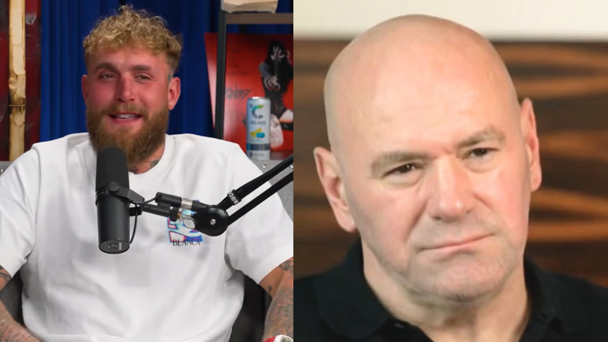 jake paul dana white