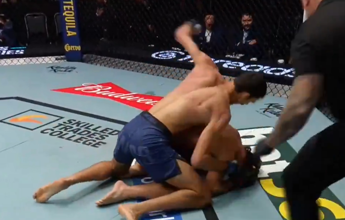 Dana White’s Contender Series Season 10, Episode 10 Highlights